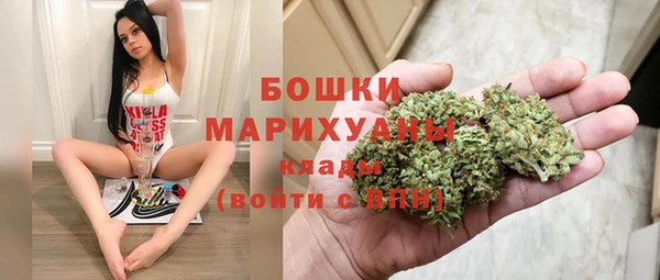 ПСИЛОЦИБИНОВЫЕ ГРИБЫ Богданович