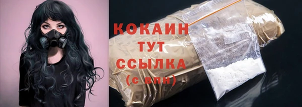 ПСИЛОЦИБИНОВЫЕ ГРИБЫ Богданович