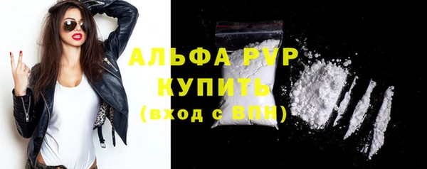 ПСИЛОЦИБИНОВЫЕ ГРИБЫ Богданович