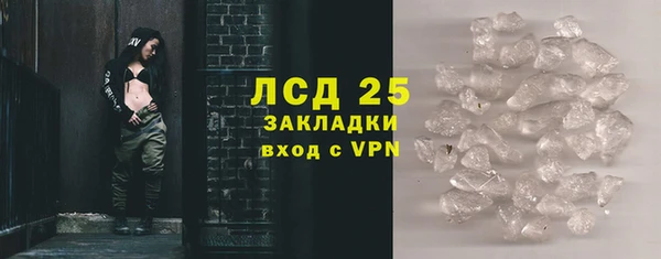 ПСИЛОЦИБИНОВЫЕ ГРИБЫ Богданович