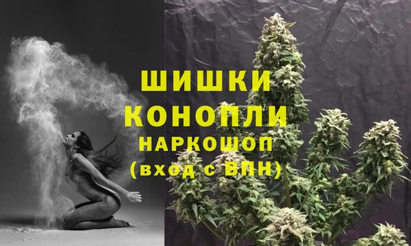 ПСИЛОЦИБИНОВЫЕ ГРИБЫ Богданович