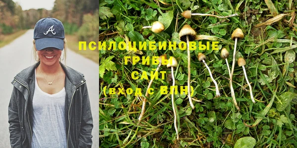гидропоника Богородск