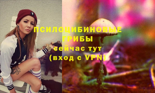 ПСИЛОЦИБИНОВЫЕ ГРИБЫ Богданович