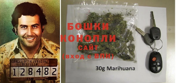 ПСИЛОЦИБИНОВЫЕ ГРИБЫ Богданович