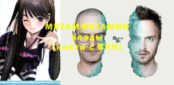 ПСИЛОЦИБИНОВЫЕ ГРИБЫ Богданович